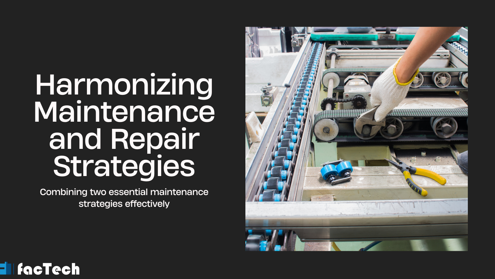 Harmonizing Maintenance and Repair Strategies