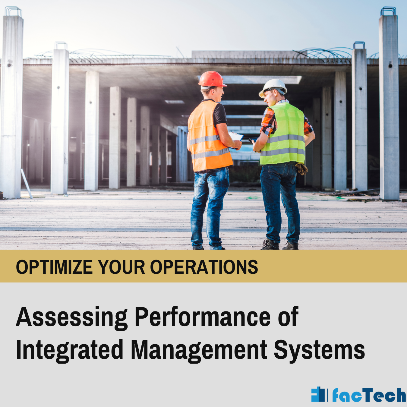 Assessing Performance of Integrated Management Systems 